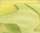gul/ljusgrön