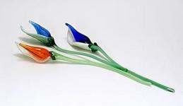 Ebba von Wachenfeldt